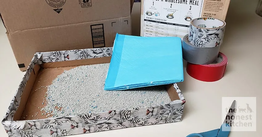 A person cutting down a cardboard box to make a litter box.