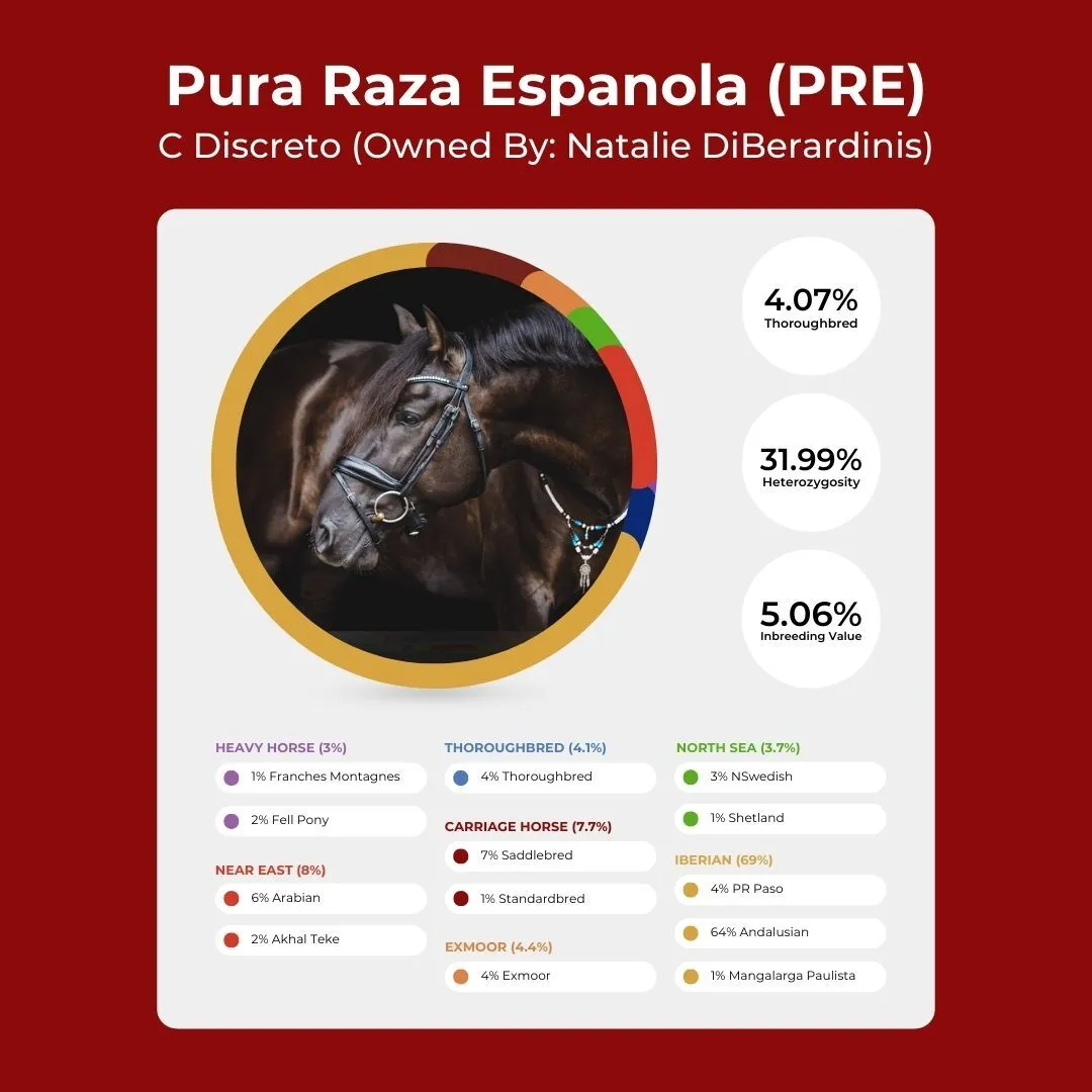 A Pura Raza Espanola (PRES) stallion is shown with his Etalon Equine Genetics Ancestry DNA test results.