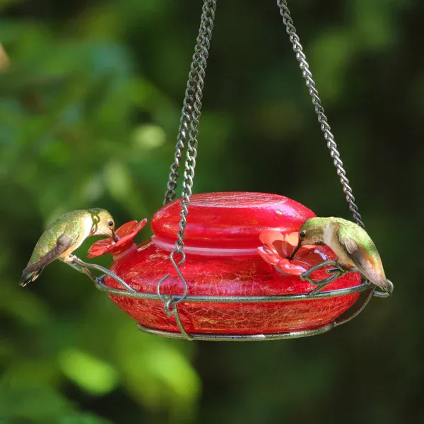A red hummingbird feeder attracting hummingbirds.