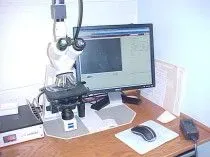 A veterinarian examines a dog's ultrasound results