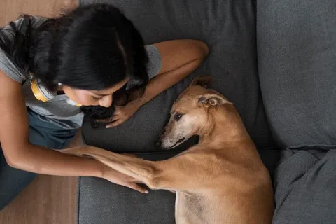A woman gently petting a cute dog, showcasing a positive owner-pet interaction.
