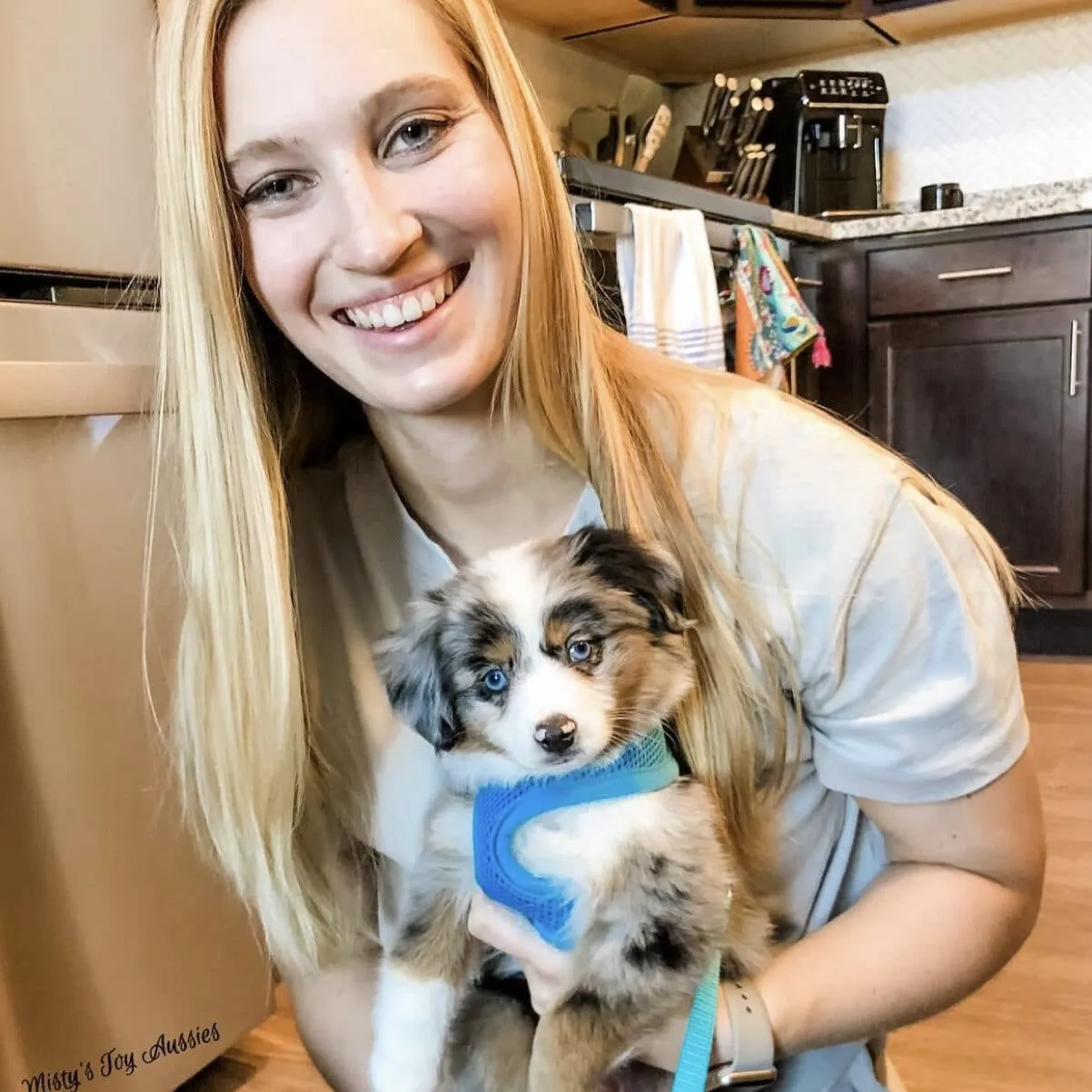 A young child happily interacting with an Australian Shepherd puppy.