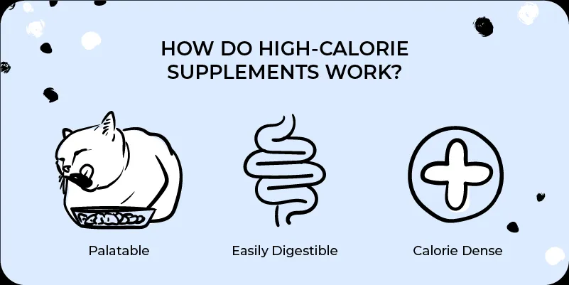 An infographic illustrating the mechanism of how high-calorie supplements benefit cats.