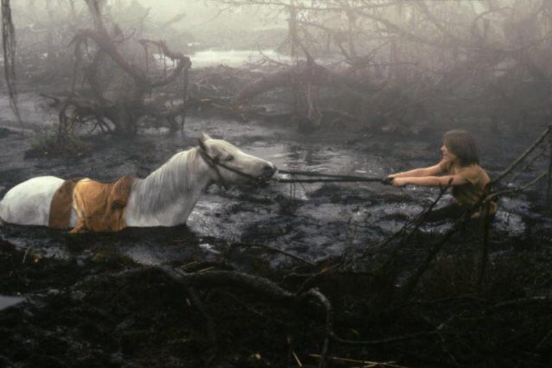 The white horse Artax from The Neverending Story sinking into the dark mud of the Swamp of Sadness, his eyes filled with despair.