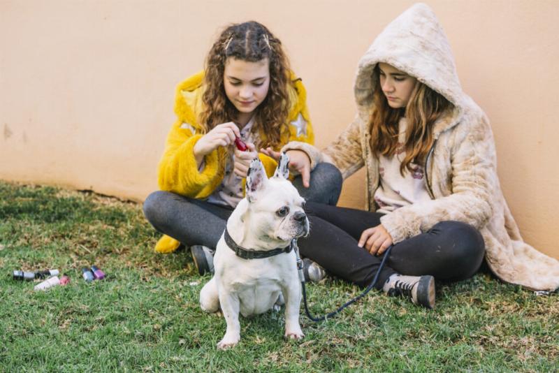 A diverse group of dogs and their owners interacting positively in a fenced dog park in Athens, GA, showcasing successful socialization during a training outing.