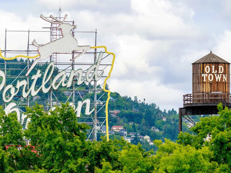 A certified Austin dog trainer patiently working on leash reactivity with a golden retriever in a park, with the Austin skyline in the background.