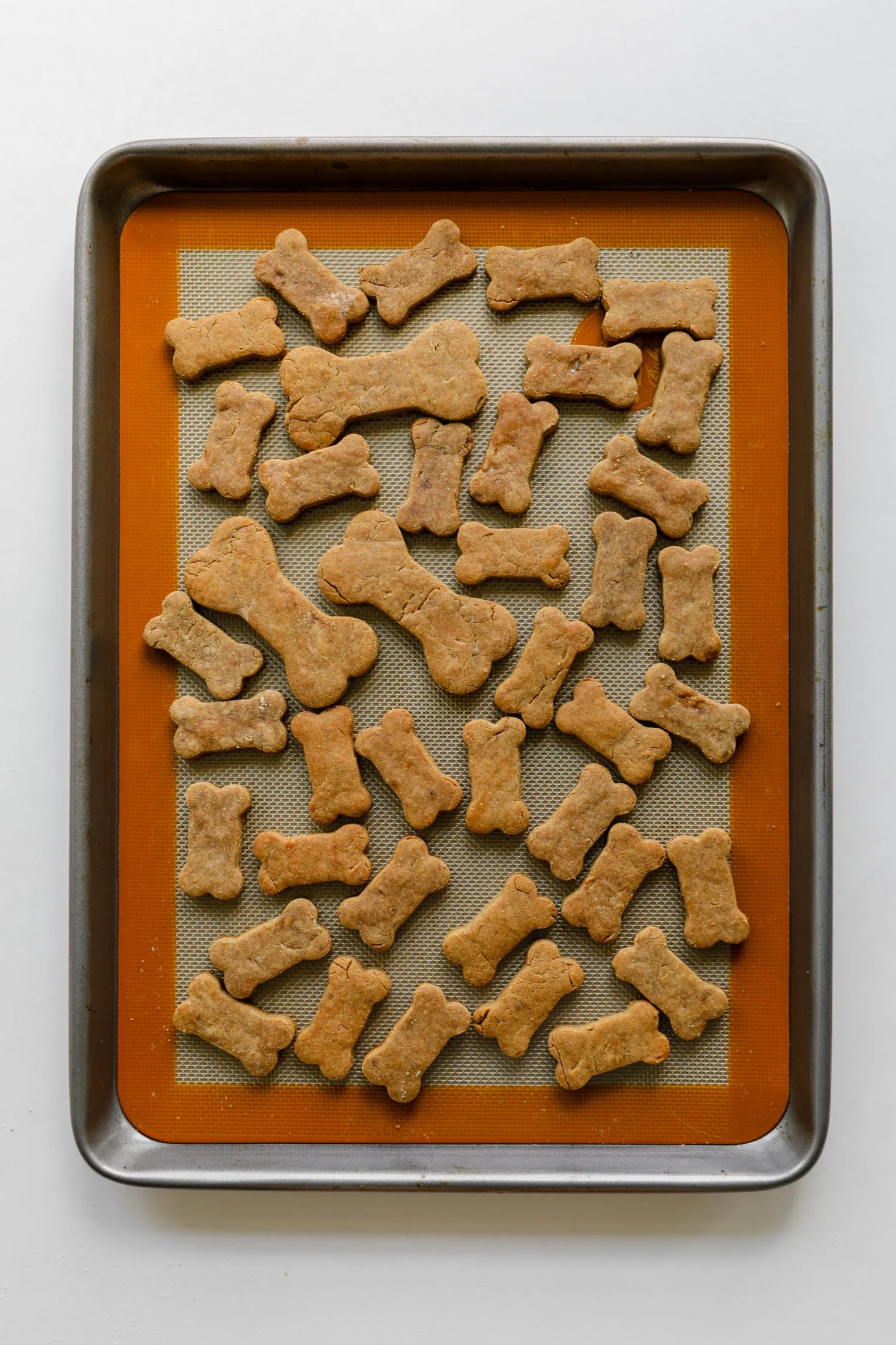 Baked 3-Ingredient Peanut Butter Banana Dog Treats on a baking sheet