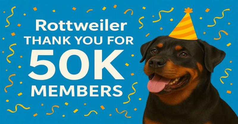 Alt text describing basic dog obedience training commands like sit, stay, come, and heel.