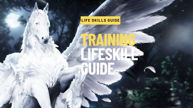 A Forest Path Wagon moving along a BDO horse training route at night.