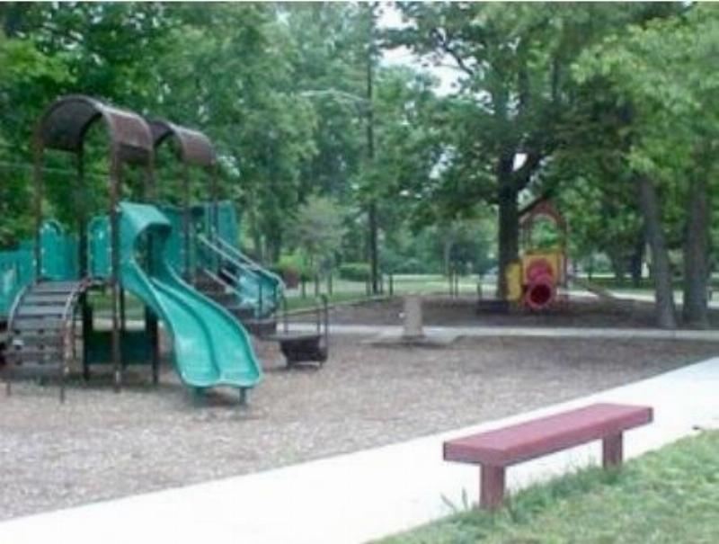 A stunning horse training area with perfect sand footing, safe white fencing, and surrounded by green trees under a clear blue sky.