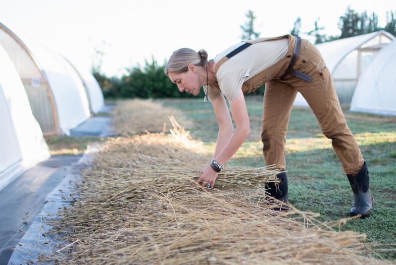 A collection of different horse trainer shoes, including paddock boots and muck boots, arranged on a clean stable floor. The image highlights features like sturdy soles and durable materials.
