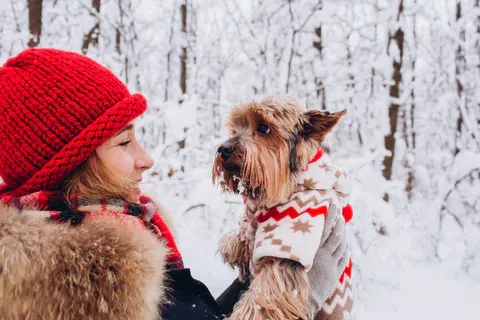 Best Pet Owner Gift Ideas for Cozy Holidays