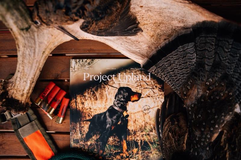 Professional bird dog training in Washington State for optimal field performance