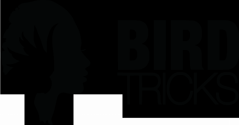 Bird training contract with legal text and a parrot illustration