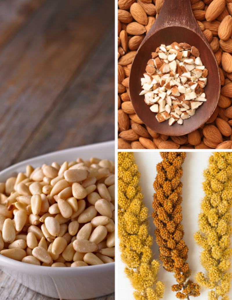 Bird owner rewarding a parakeet with a treat