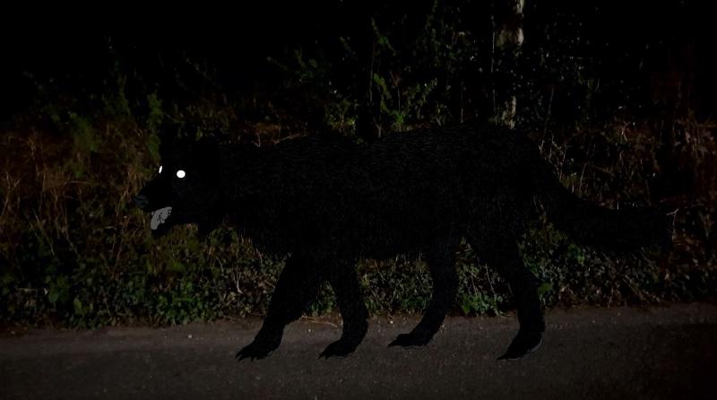 Historical depictions of black dogs in folklore and mythology, showcasing their varied roles and symbolism.