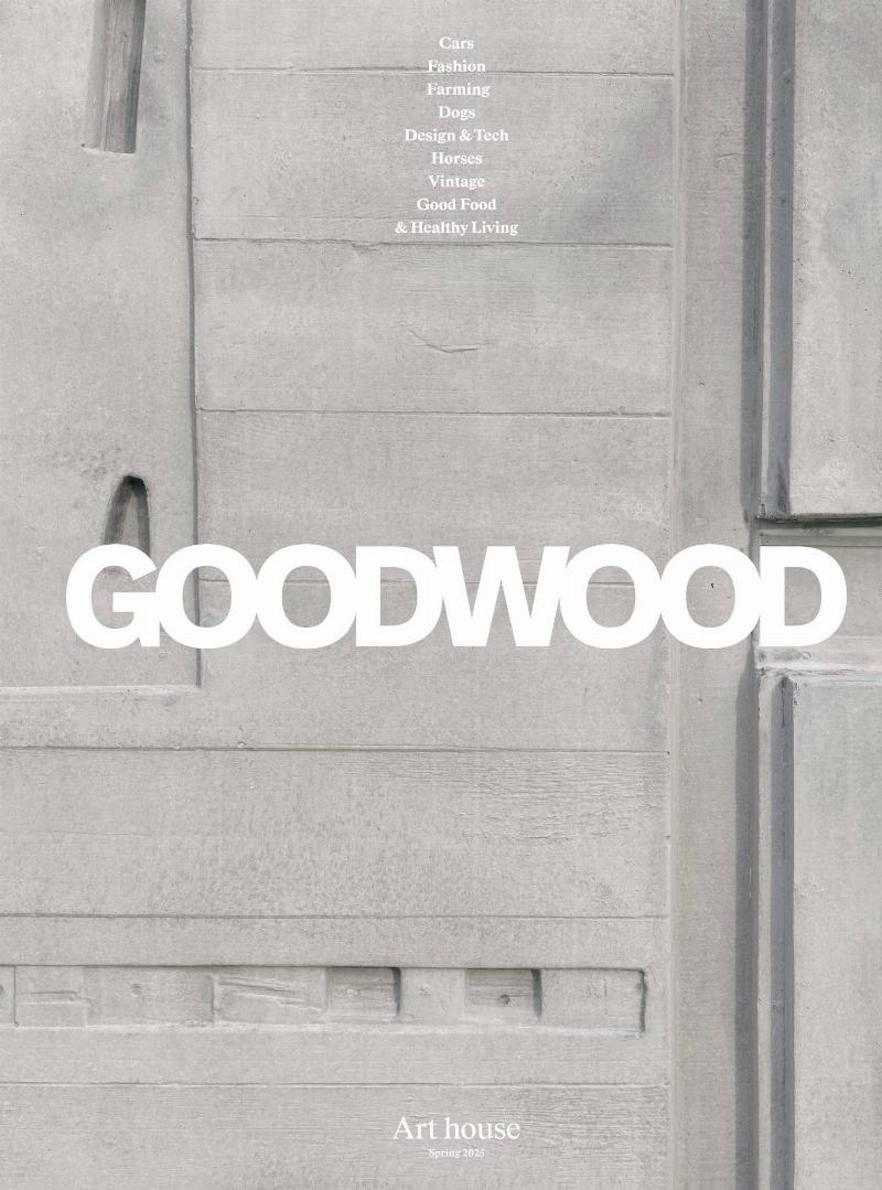 An old Australian Cattle Dog named Bluey, the Guinness World Record holder for the oldest dog, resting in a pastoral setting.
