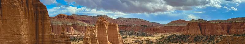 Close-up of a Toy Story horse plush showing intricate details and soft texture.