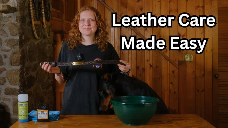 A step-by-step visual of how to clean and condition a leather dog training leash for longevity.