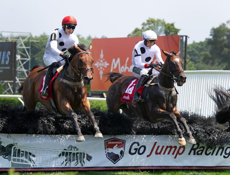 A wide shot of thoroughbred horses and jockeys jumping over a hurdle during the Carolina Cup steeplechase event.