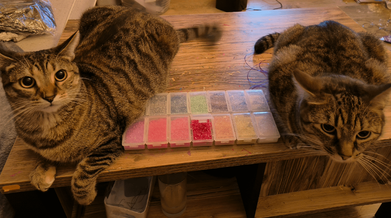 A close-up of a cat litter training kit with its components laid out neatly on a clean floor, including a shallow litter tray, training litter, and attractant spray. The overall mood is organized and inviting for pet owners.