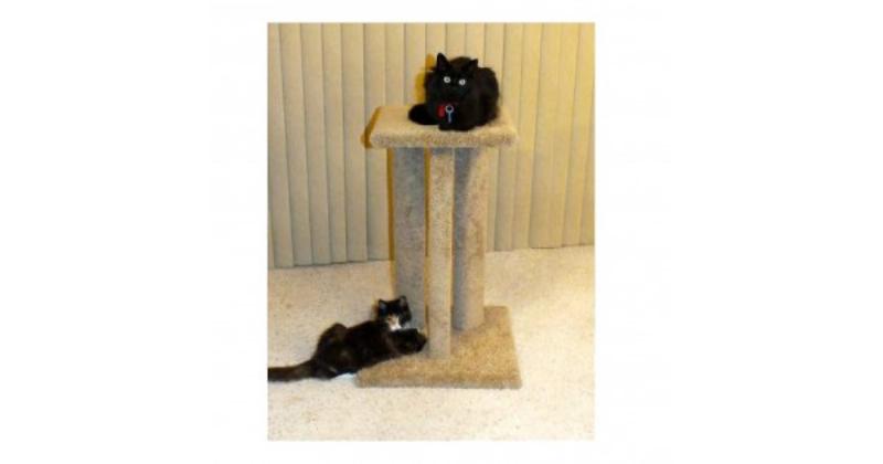 Alt text: A cat energetically scratching a sturdy sisal rope scratching post, demonstrating natural behavior.