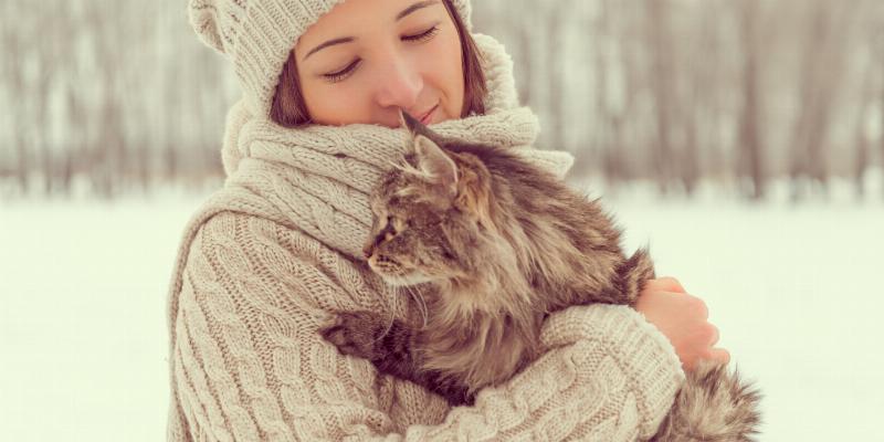 Interactive toys are essential for redirecting play aggression in cats.