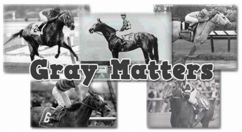 The champion filly Winning Colors, a powerful roan horse trained by Wayne Lukas, leading the pack at the Kentucky Derby with her distinct gray coat.