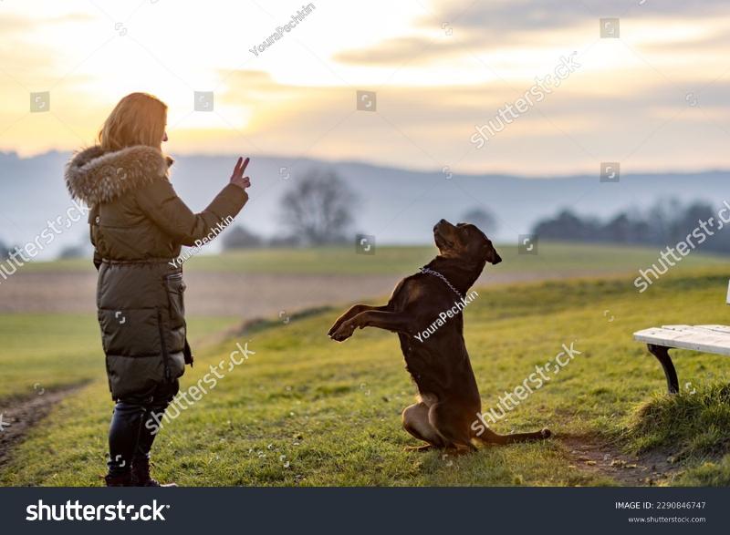 A smiling young girl giving a hand signal to a happy golden labrador sitting on a lush green lawn, illustrating the concept of dog training for kids.