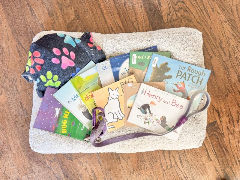 childrens book about a dog that died