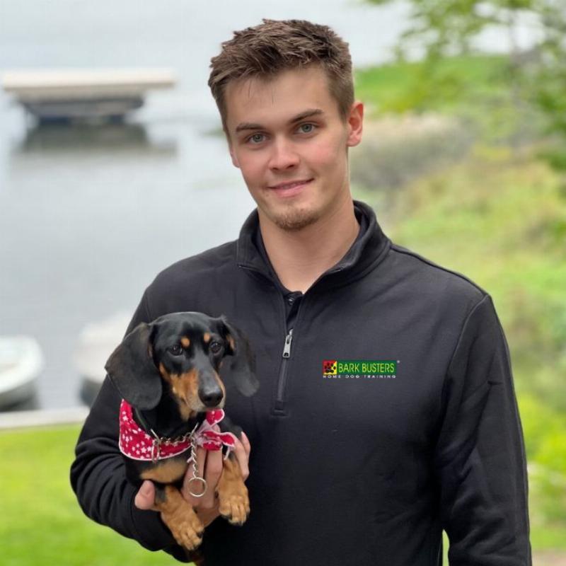 A person is kneeling down to happily interact with a calm dog, symbolizing the positive relationship built through good training in Sterling Heights.