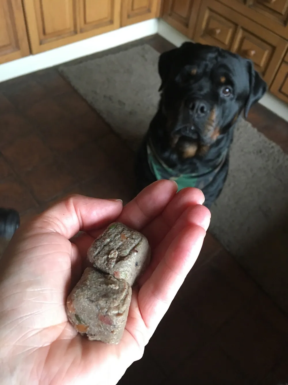 Close-up of Natures Menu raw nuggets