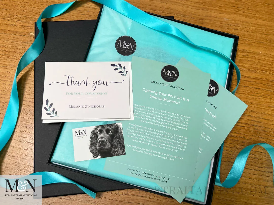 Cocker Spaniel Pencil Portrait of Widgeon