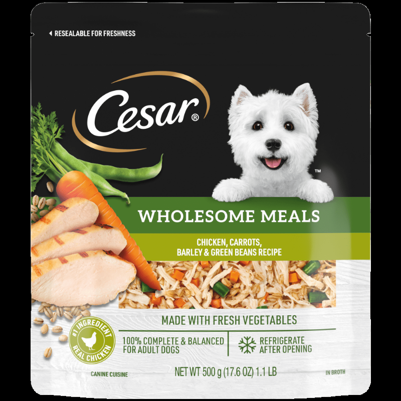 alt-text=A healthy dog eating from a bowl of premium dog food, illustrating proper nutrition