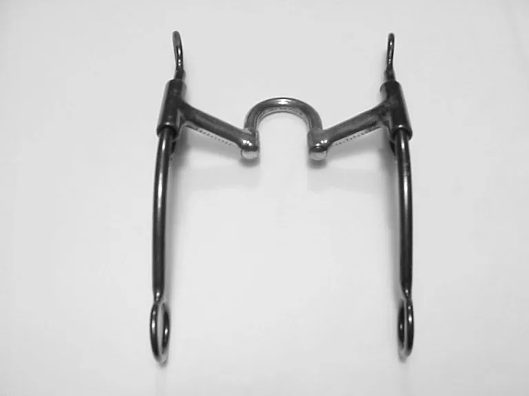 Correctional Mouthpiece.