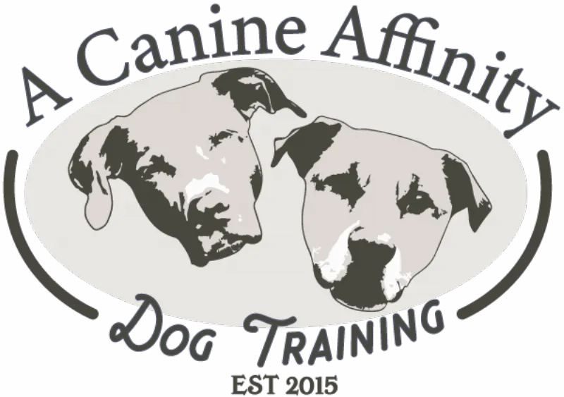 Effective crate training strategies for dogs suffering from separation anxiety, showing a dog happily entering a comfortable crate with a treat.