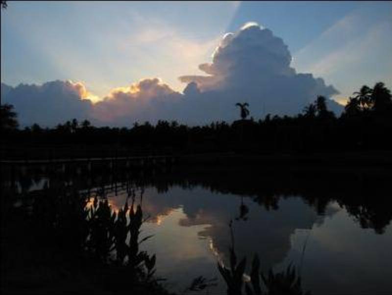 A happy Golden Retriever getting a treat from its owner for sitting politely, with a blurred Denver park background signifying Pavlov dog training in Denver CO.
