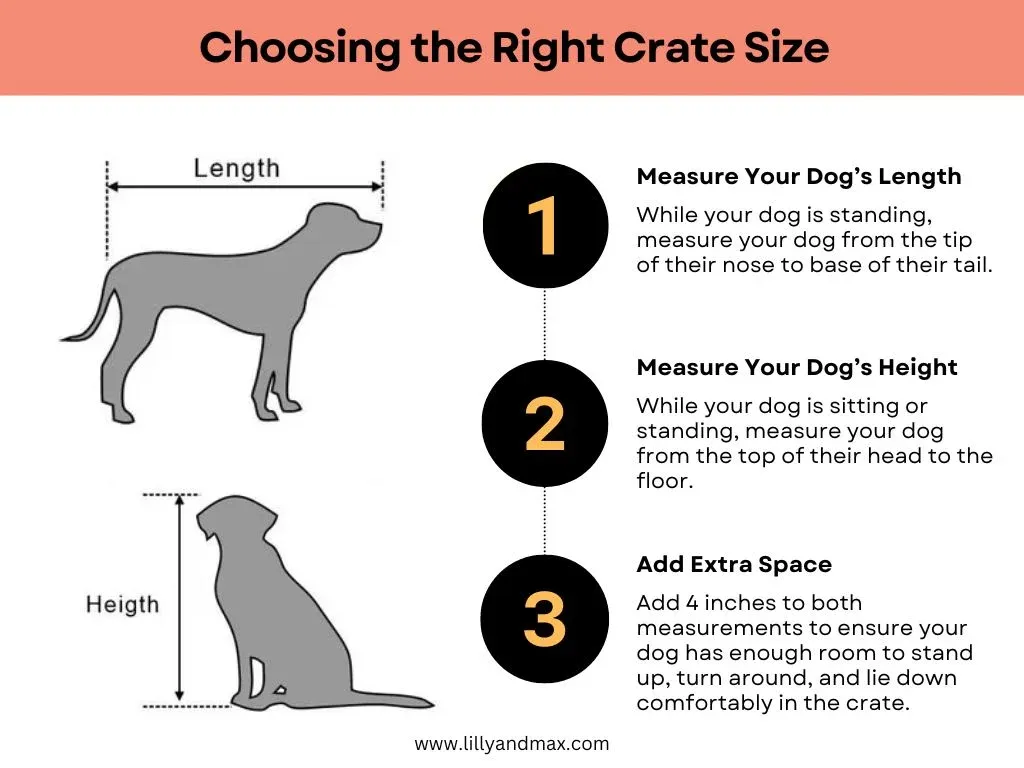 Diagram illustrating how to measure a dog for the correct crate size.