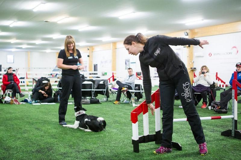 A handler demonstrating a front cross with their dog, guiding them towards a jump