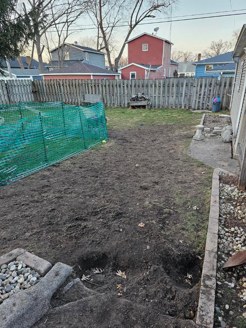 A happy medium-sized dog, like a beagle, successfully using a lush green dog toilet training grass pad on a modern apartment balcony.