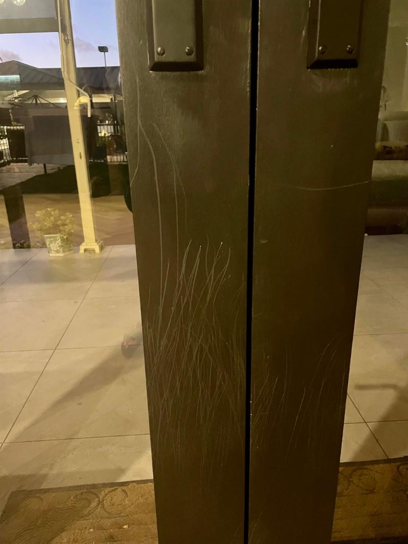 A close-up shot of a dog's paw pressing a large, round electronic dog doorbell for potty training placed on a wooden floor near a door frame.