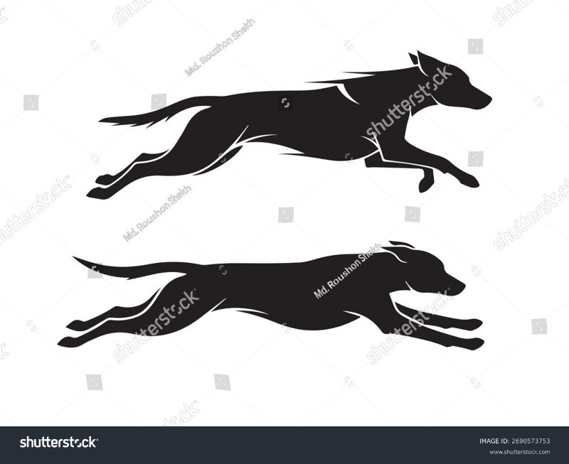 A happy golden retriever mid-stride as it joyfully leaps over a homemade jump in a sunny backyard dog training obstacle course.