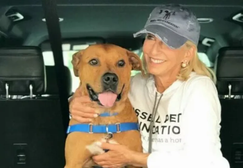 A diverse group of dogs including a Golden Retriever, a French Bulldog, and a Shepherd mix sit attentively with their owners in a bright, indoor dog training facility in Kalamazoo MI.