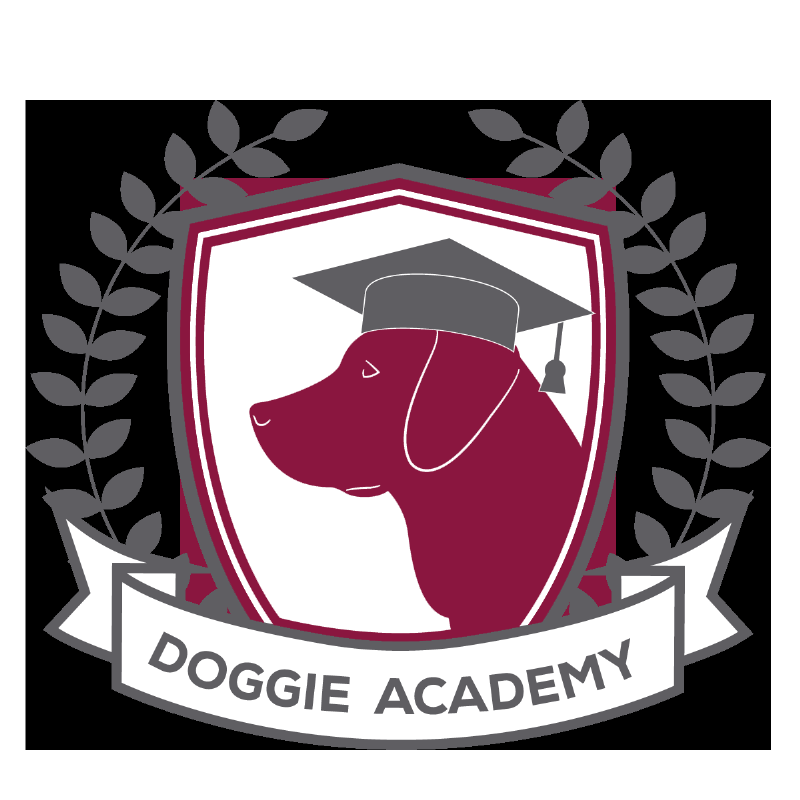 A diverse group of puppies in a dog training class in Manhattan, learning to sit and stay with their owners.