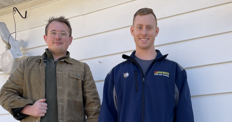 Addressing dog behavioral issues with expert guidance in Cockeysville, MD