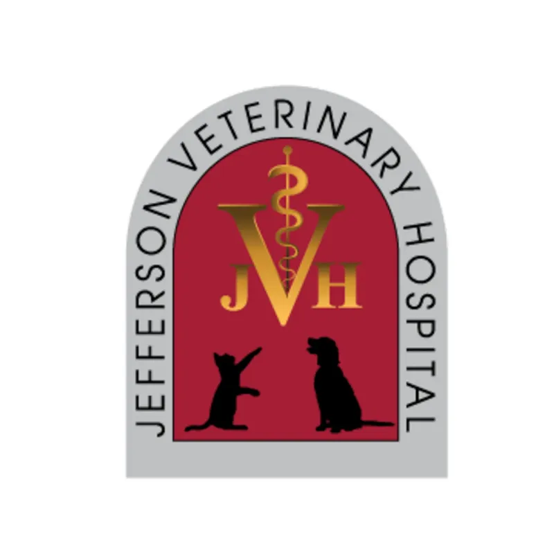 Professional dog training class in Frederick, MD, with dogs and handlers focusing on obedience.