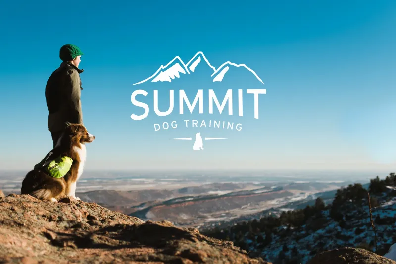 Happy dog learning a new trick with owner