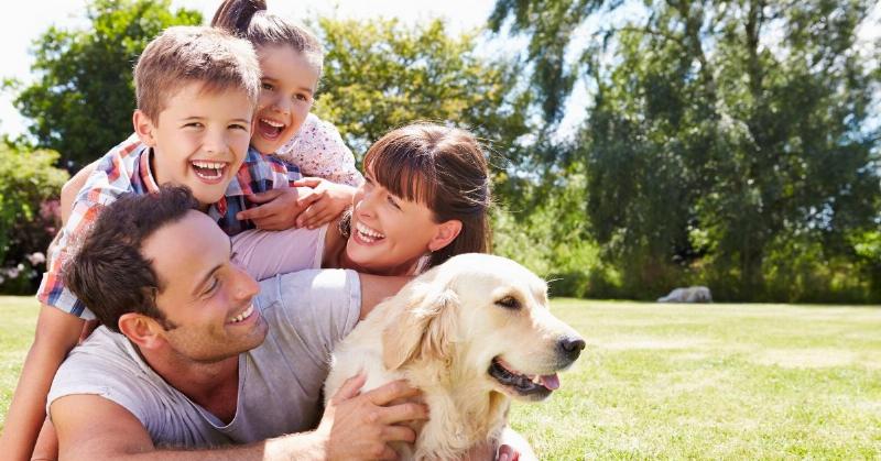 Professional dog training session in a Redlands park, focusing on positive reinforcement and obedience commands.