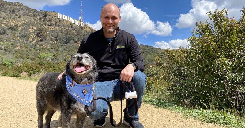 Professional dog training session in Thousand Oaks with a positive trainer guiding a happy dog through an obedience exercise, illustrating expert guidance and a strong bond.