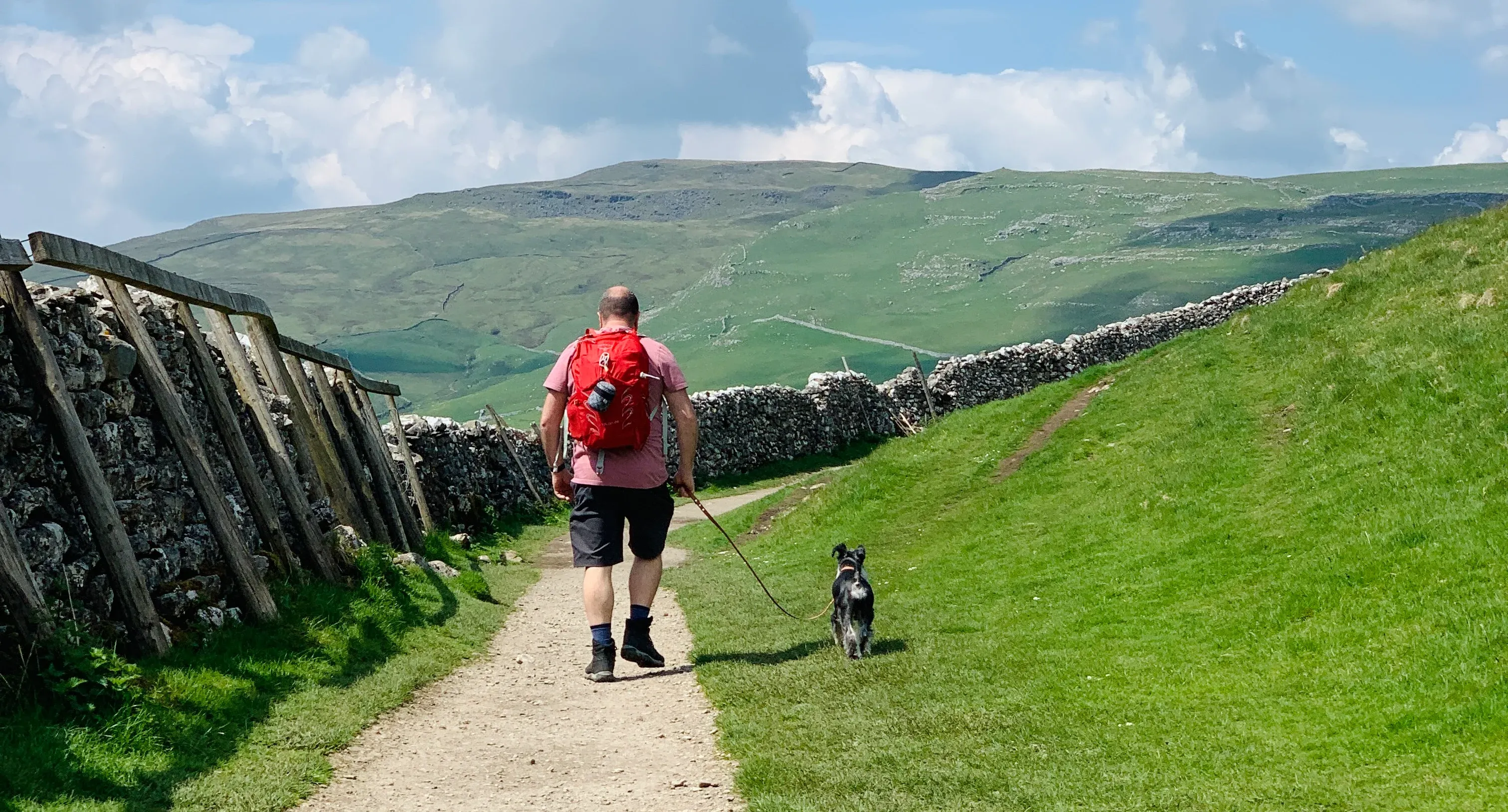 Dog walking essentials for a countryside walk